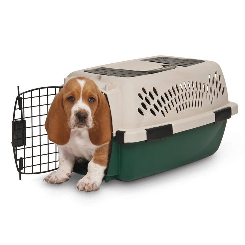 Ruff Maxx Plastic Dog Pet Carrier & Reviews Wayfair